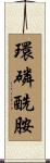 環磷酰胺 Scroll
