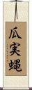 瓜実蝿 Scroll