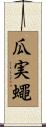 瓜実蠅 Scroll
