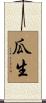 瓜生 Scroll