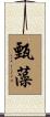 甄藻 Scroll