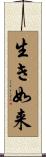 生き如来 Scroll
