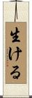 生ける Scroll