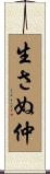 生さぬ仲 Scroll