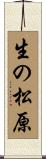 生の松原 Scroll
