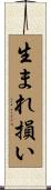生まれ損い Scroll