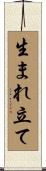 生まれ立て Scroll