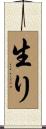 生り Scroll