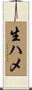 生ハメ Scroll