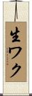 生ワク Scroll