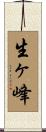 生ヶ峰 Scroll