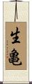 生亀 Scroll