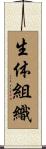 生体組織 Scroll