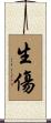 生傷 Scroll