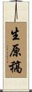 生原稿 Scroll