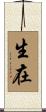 生在 Scroll
