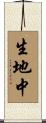 生地中 Scroll