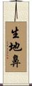 生地鼻 Scroll