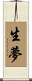 生夢 Scroll