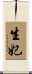 生妃 Scroll