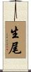 生尾 Scroll