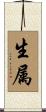 生属 Scroll