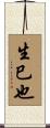 生巳也 Scroll
