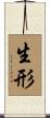 生形 Scroll