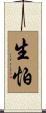 生怕 Scroll
