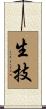 生技 Scroll