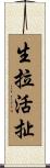 生拉活扯 Scroll