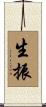 生振 Scroll
