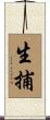 生捕 Scroll