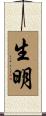 生明 Scroll
