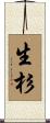 生杉 Scroll