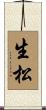 生松 Scroll