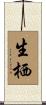 生栖 Scroll
