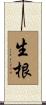 生根 Scroll
