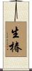 生椿 Scroll