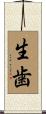 生歯 Scroll