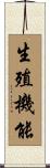 生殖機能 Scroll