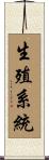生殖系統 Scroll