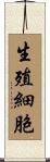 生殖細胞 Scroll