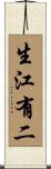 生江有二 Scroll