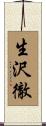 生沢徹 Scroll