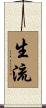 生流 Scroll