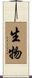 生物 Scroll