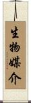 生物媒介 Scroll
