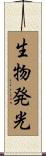生物発光 Scroll