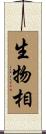 生物相 Scroll